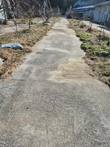 팜모닝 기타작물·영농일지 게시글 이미지