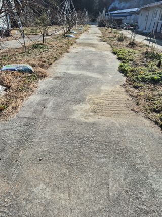 김명웅님의 기타작물 · 영농일지 작성글 사진