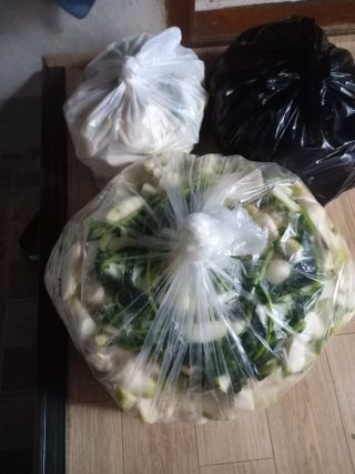 전진욱님의 배추 · 영농일지 작성글 사진