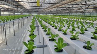 정영훈님의 기타작물 · 영농일지 작성글 사진