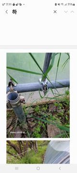 팜모닝 콩·영농일지 게시글 이미지