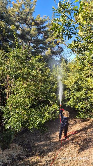 콩19996ㆍ혜자님의 기타작물 · 영농일지 작성글 사진