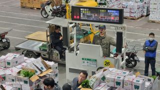 정영훈님의 기타작물 · 영농일지 작성글 사진