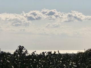 산방자연농원님의 귤 · 영농일지 작성글 사진