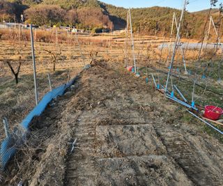 박세욱님의 사과 · 영농일지 작성글 사진