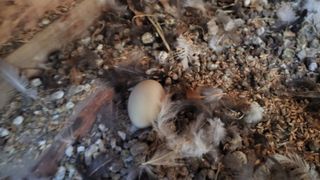 김홍중님의 기타작물 · 영농일지 작성글 사진