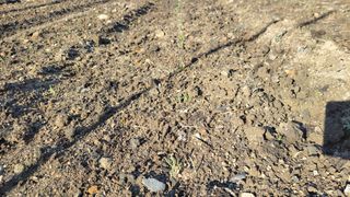 김홍중님의 기타작물 · 영농일지 작성글 사진