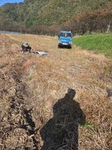 팜모닝 기타작물·영농일지 게시글 이미지