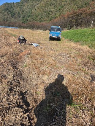 무주설천면 반딧팝님의 기타작물 · 영농일지 작성글 사진