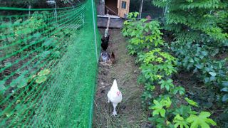 김홍중님의 기타작물 · 영농일지 작성글 사진