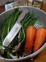 팜모닝 배추·영농일지 게시글 이미지