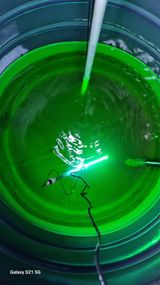 팜모닝 기타작물·영농일지 게시글 이미지