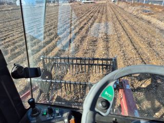 벼7893님의 콩 · 영농일지 작성글 사진