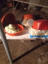 팜모닝 배추·영농일지 게시글 이미지