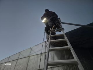 늘햇살팜 님의 기타작물 · 영농일지 작성글 사진