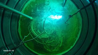 정영훈님의 기타작물 · 영농일지 작성글 사진