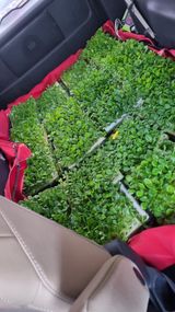 팜모닝 기타작물·영농일지 게시글 이미지