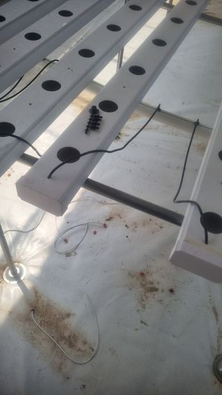 정영훈님의 기타작물 · 영농일지 작성글 사진