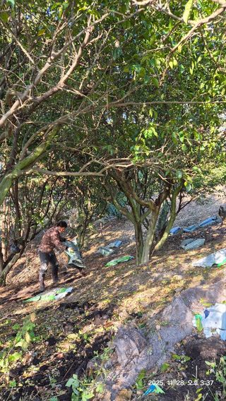 콩19996ㆍ혜자님의 기타작물 · 영농일지 작성글 사진