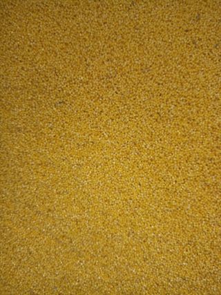 꽃봉산님의 기타작물 · 영농일지 작성글 사진