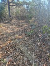 허봉모 님의 작성글 사진