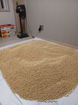 팜모닝 콩·영농일지 게시글 이미지