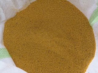 꽃봉산님의 기타작물 · 영농일지 작성글 사진