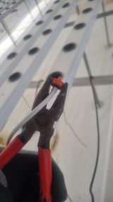 팜모닝 기타작물·영농일지 게시글 이미지