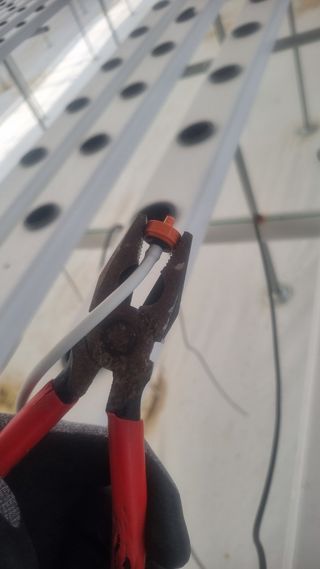 정영훈님의 기타작물 · 영농일지 작성글 사진