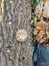 팜모닝 버섯·영농일지 게시글 이미지