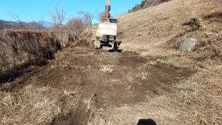 이순기님의 두릅 · 영농일지 작성글 사진