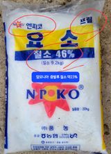 팜모닝 귤·영농일지 게시글 이미지