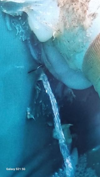 정영훈님의 기타작물 · 영농일지 작성글 사진