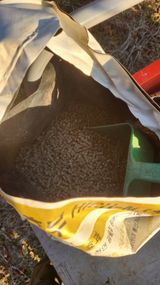 김준한님의 작성글 사진