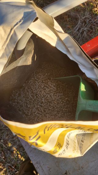 김준한님의 자두 · 영농일지 작성글 사진