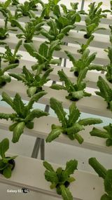 팜모닝 기타작물·영농일지 게시글 이미지