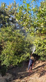 팜모닝 기타작물·영농일지 게시글 이미지