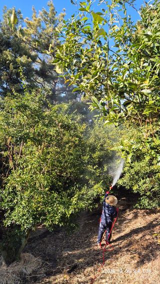 콩19996ㆍ혜자님의 기타작물 · 영농일지 작성글 사진