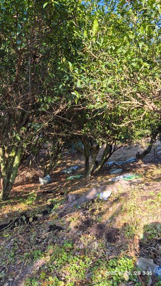 콩19996ㆍ혜자님의 기타작물 · 영농일지 작성글 사진