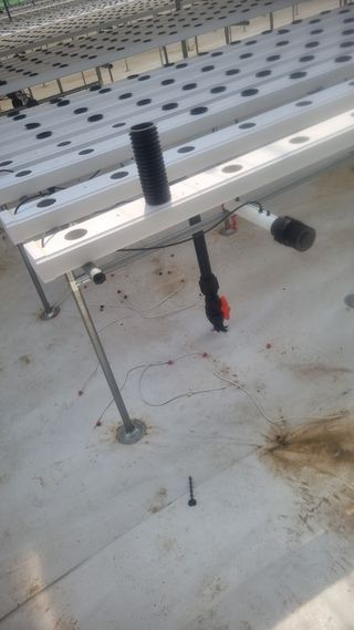 정영훈님의 기타작물 · 영농일지 작성글 사진