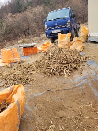 이름유순옥님의 기타작물 · 영농일지 작성글 사진