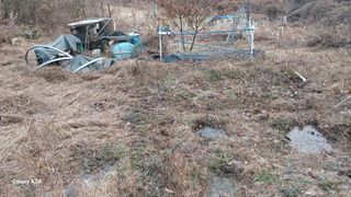 골탄님의 자두 · 영농일지 작성글 사진