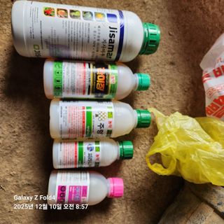 김성훈님의 기타작물 · 영농일지 작성글 사진