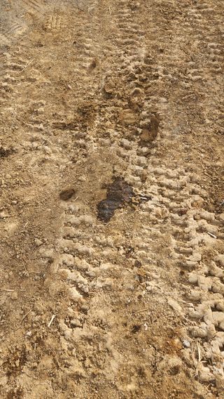 최율구님의 마늘 · 영농일지 작성글 사진