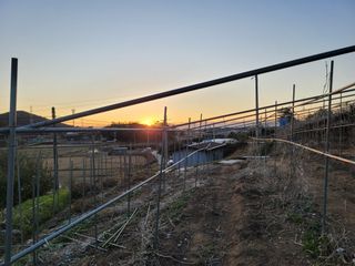 이용찬 열매마농원님의 기타작물 · 영농일지 작성글 사진