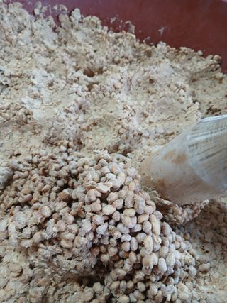 한상숙님의 콩 · 영농일지 작성글 사진