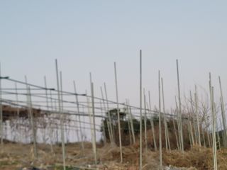 이용찬 열매마농원님의 기타작물 · 영농일지 작성글 사진