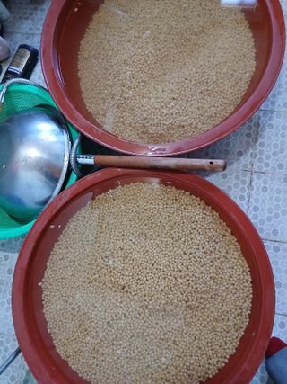 한상숙님의 콩 · 영농일지 작성글 사진