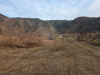 김정훈님의 복숭아 · 영농일지 작성글 사진