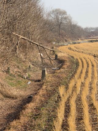 백현호님의 벼 · 영농일지 작성글 사진